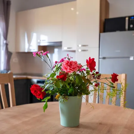 Апартаменты My Dalmatia - Blagdan Two With Private Parking *